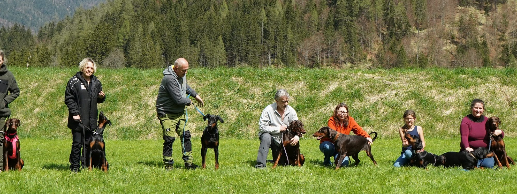 Mitglieder des Tiroler Dobermann Klub mit ihren Hunden