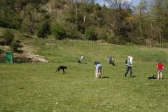 Frühjahreskurs 2011